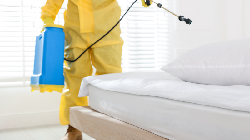 Insektizide gegen Bettwanzen – ein verständlicher Leitfaden zur wirksamen Bekämpfung