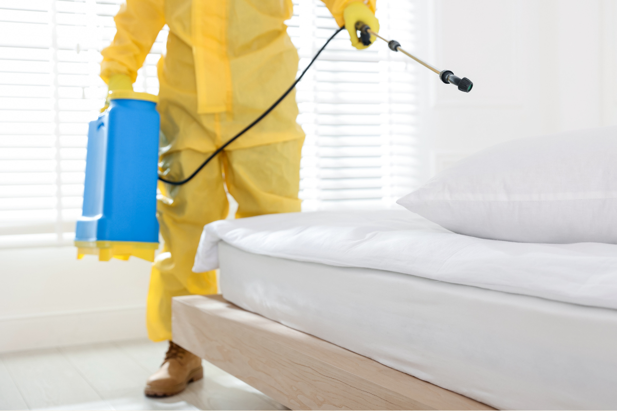 Insektizide gegen Bettwanzen – ein verständlicher Leitfaden zur wirksamen Bekämpfung